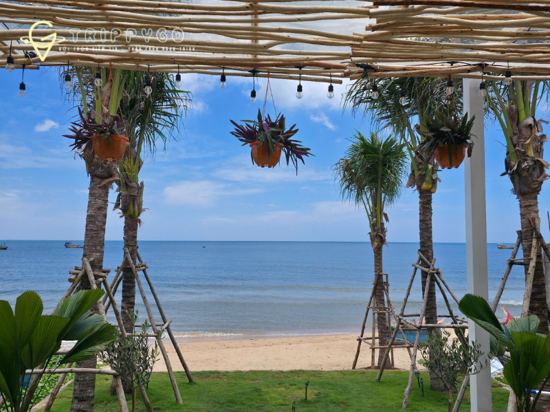 Khám Phá Villa Mũi Né & Tiến Thành – View Đẹp, Giá Tốt